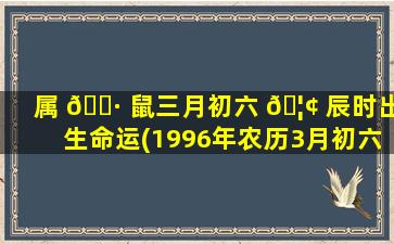 属 🌷 鼠三月初六 🦢 辰时出生命运(1996年农历3月初六是什么命)